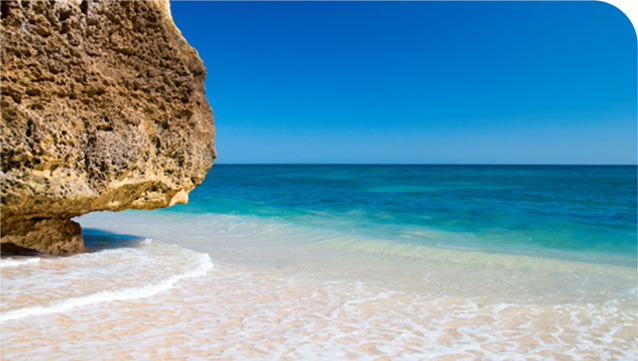 Portuguese Chamber of Commerce