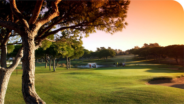 Portuguese Chamber of Commerce